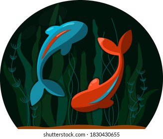 dos peces en el acuario