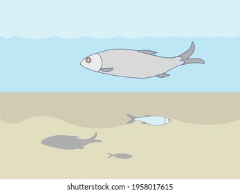 Two fish herring and sprat against the background of a sandy bottom and water casting a shadow in sunny weather. Vector image in simple cartoon style.