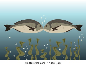 Two fish kissing underwater over algae