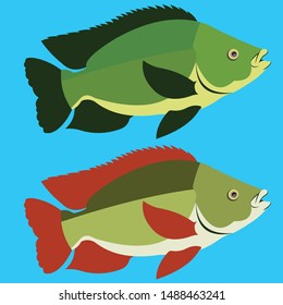 two fish swimming in blue background