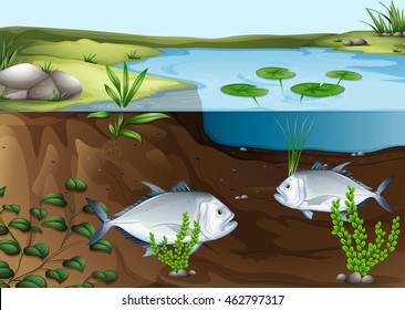 Two fish swimming in the pond illustration