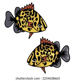 two a fish vector set isolated on white background. fish, coral fish, scat, spotted scat, aquarium, seafood, yellow, black, orange, grey, simple, vector illustration.