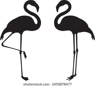 two flamingos are shown with one on the other.