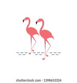 Two flamingos walking along beach. Vector