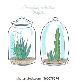 two floral compositions with succulents in decorative bottles, vector illustration