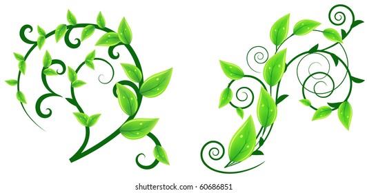 Dos elementos de diseño floral con hojas frescas
