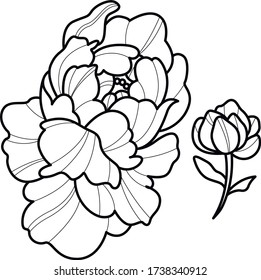 un conjunto de dos flores. trabajo de tatuaje de peonía