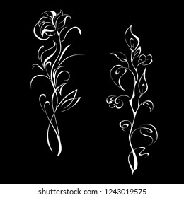 two flower twigs with stylized flowers and leaves in white lines on black background
