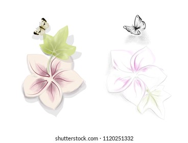 two flower whith butterfly isolated on white background