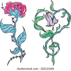 Two flowers. Color vector illustration