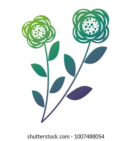 two flowers decorative spring image