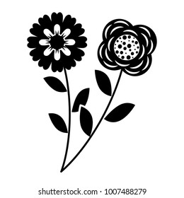 two flowers decorative spring image