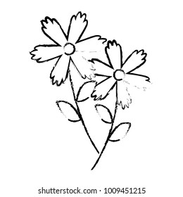 two flowers decorative spring image
