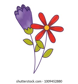 two flowers decorative spring image
