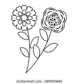 two flowers decorative spring image