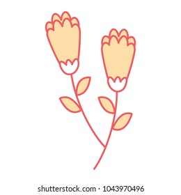 two flowers decorative spring image