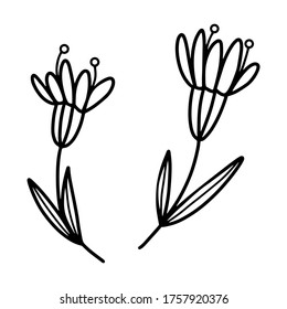 Zwei Blumen im Doodle-Stil auf weißem Hintergrund. Schwarz-Weiß-Illustration abstrakter Blumen. Blumenvektorgrafik einzeln für Druck, Postkarten, Farbbücher.

