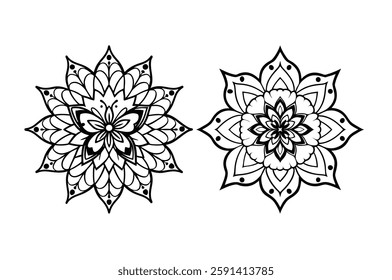 Two flowers are drawn in black and white. The flowers are very detailed and have a lot of intricate designs. 