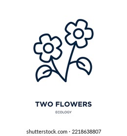 two flowers icon from ecology collection. Thin linear two flowers, flower, summer outline icon isolated on white background. Line vector two flowers sign, symbol for web and mobile