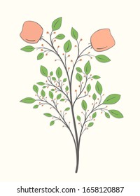 Zwei Blumen auf einem Stamm mit grünen Blättern und orangefarbenen Beeren einzeln auf hellem Hintergrund