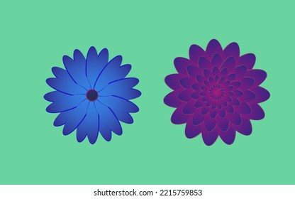 Two flowers one blue and one purple on a green background
