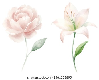 Two flowers, one pink and one white, are shown side by side. The pink flower is larger and has a more prominent stem, while the white flower is smaller and has a more delicate appearance