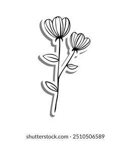 Two Flowers Outline on white silhouette and gray shadow. Hand drawn cartoon style. Vector illustration for decorate, coloring and any design.