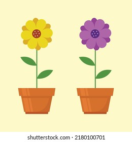 Two flowers in pots Vector illustration in flat style isolated on white background. yellow and purple flowers clip art