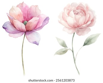 Two flowers are shown in a watercolor painting. One is pink and the other is purple. The flowers are arranged in a way that creates a sense of harmony and balance