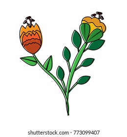 two flowers stem leaves natural petal image