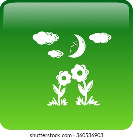 Two flowers together look moon light