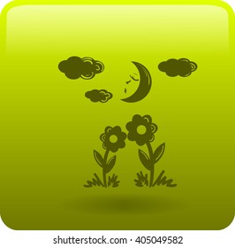 Two flowers together look moon light