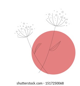 Two fluffy flowers on white background and pastel red circle for giftcards,presentations.icon website. 