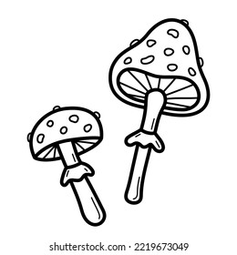 Two fly agaric or amanita. Mushrooms with red hat and white spots. Isolated vector illustration in doodle line style.