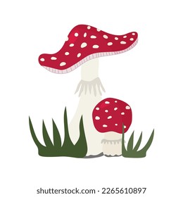 Two fly agaric mushrooms in the grass. Isolated vector clipart on white background.