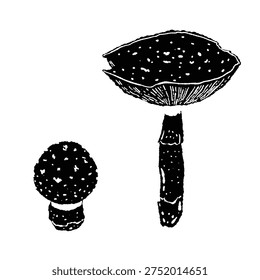 Two Fly Agaric Mushrooms Pair Variation 3 Monochrome Illustration