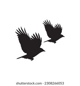 Two flying birds silhouette illustration