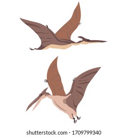 Two Flying Dinosaurs, Pterodactyl, Set, Vector Illustration