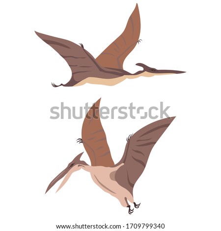 Two flying dinosaurs, pterodactyl, set, vector illustration [[stock_photo]] © 