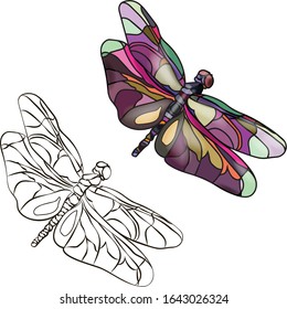 Two flying stylized dragonflies isolated on a white background. View from above. One dragonfly is colored, the other is black and white. Drawing for coloring. Vector. 10 EPS