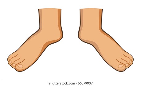 Two foots isolated on background