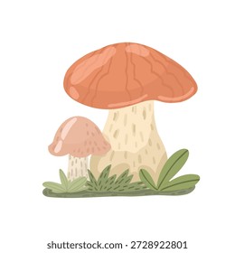 Two forest mushrooms with brown caps and green grass. Autumn woodland nature elements.
