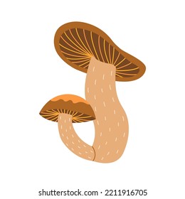 Two forest mushrooms in one, big and small. Vector colorful isolated illustration hand drawn doodle. Simple card or print. Autumn season clip art