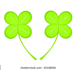 Two four-leaf clovers vector illustration