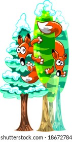 Two foxes between trees. Winter Scene