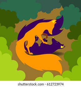 Two foxes playing in forest.