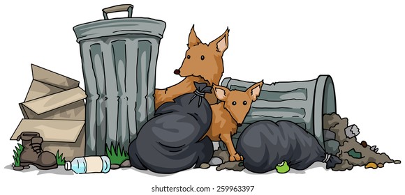 Two foxes in urban rubbish, vector illustration
