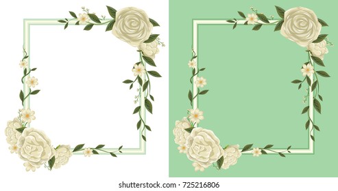 Two frames with white roses on border illustration