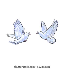 Two free flying white doves, sketch vector illustration isolated on white background. Realistic hand drawn couple of white doves, pigeons flapping wings, symbol of love and romance, marriage icon