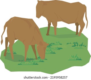 Two Free Range Cow Illustration